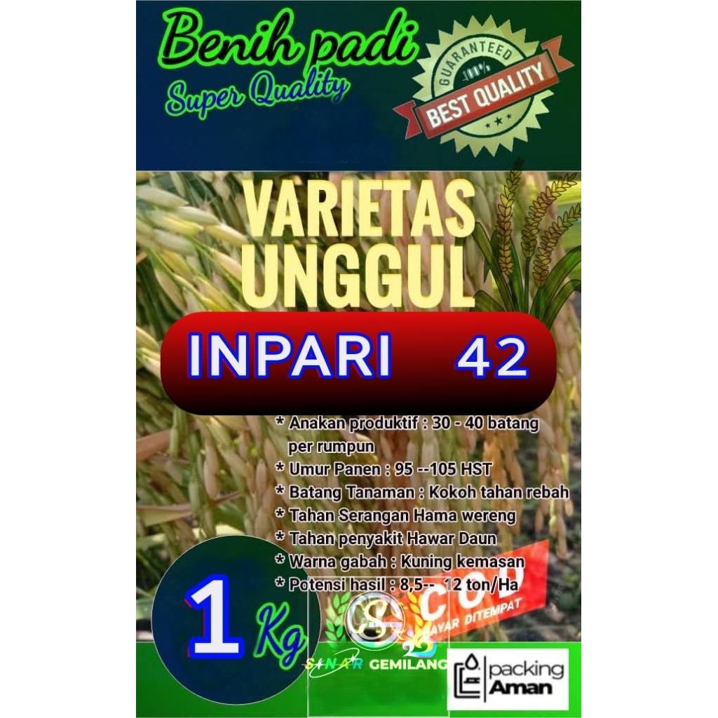 Benih Padi Super Inpari 42 Agritan GSR (1Kg)