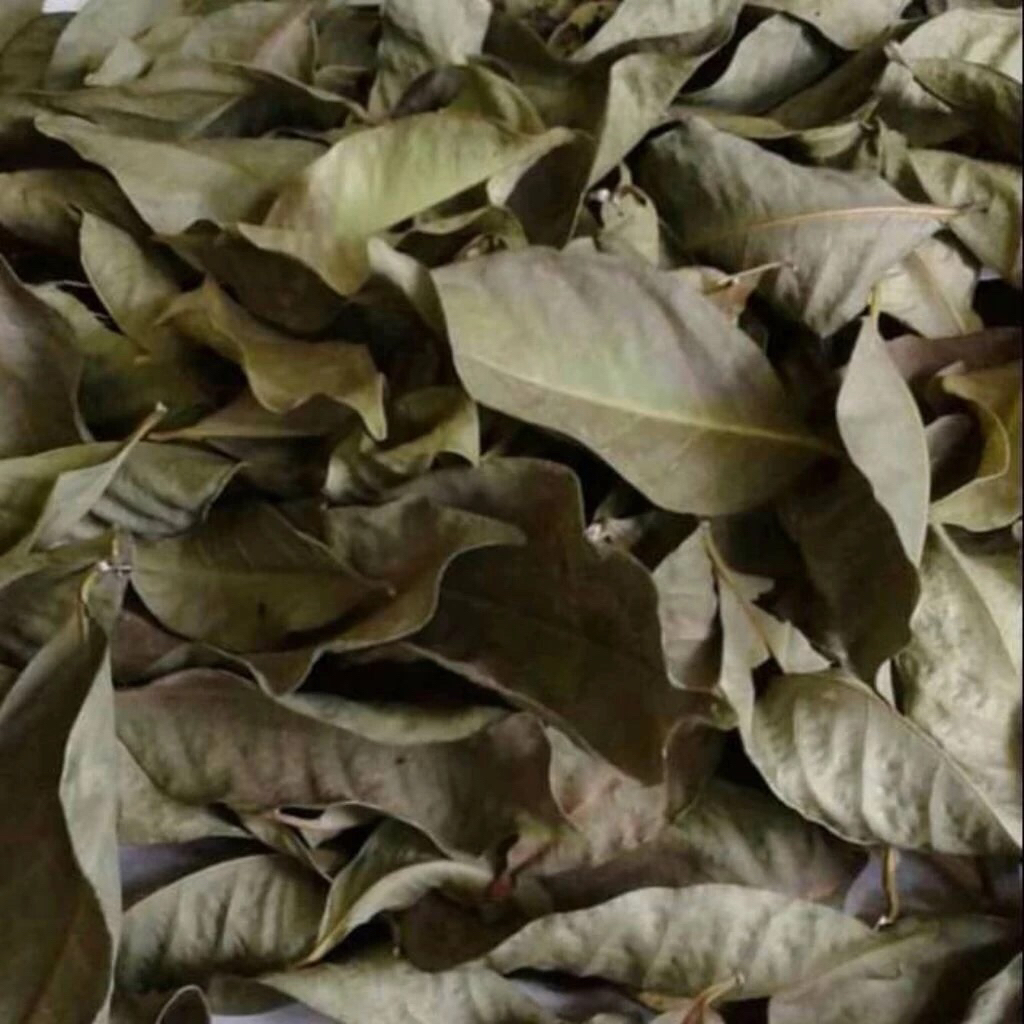 daun salam / daun salam kering 25g