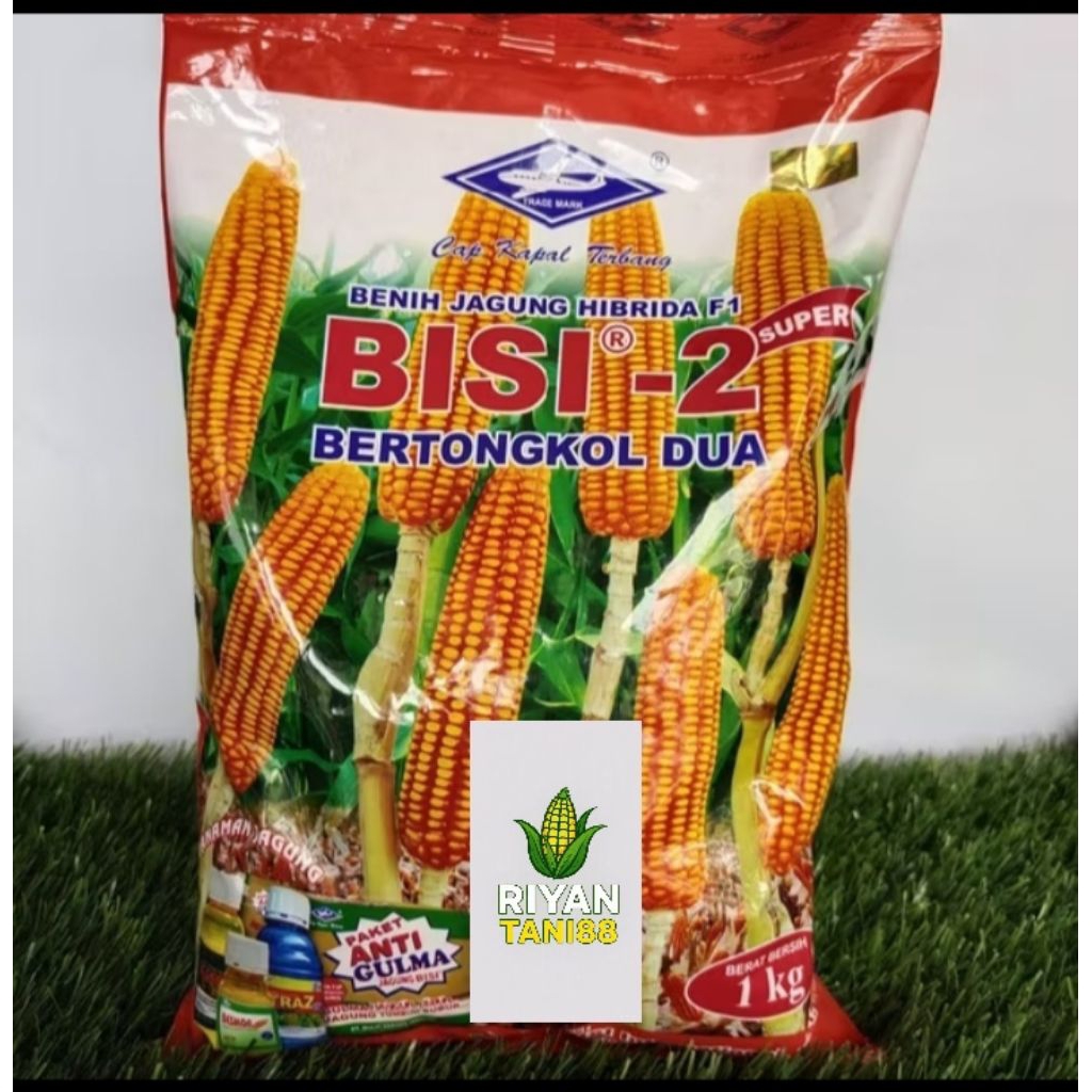 PAKET HEMAT BISI-2 isi 5KG