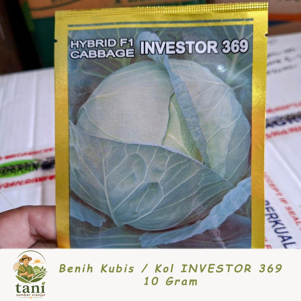 Benih Kubis Kol F1 Investor 369 / 10 gram