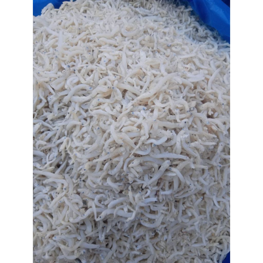 ikan asin tanjung balai asli