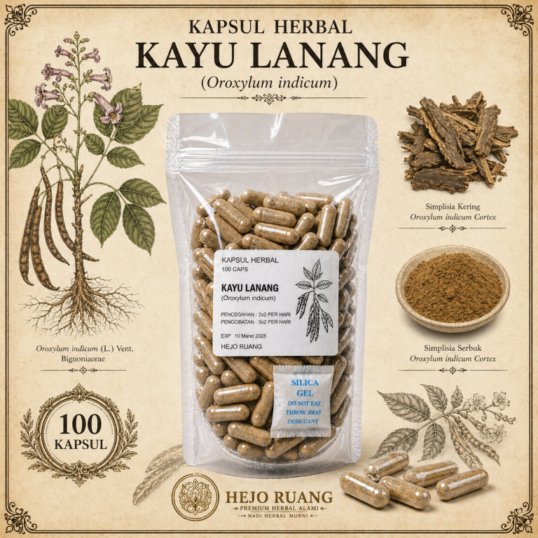 Kayu Lanang | Bungli | Indian Trumpet Tree - Membantu Memelihara Daya Tahan Tubuh & Meredakan Perut 