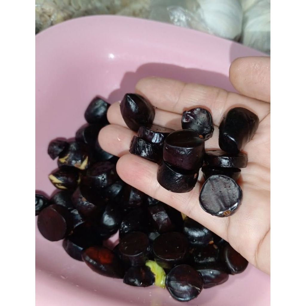 250GR KABAU KANCING JOLANG JALING KABAU SEGAR