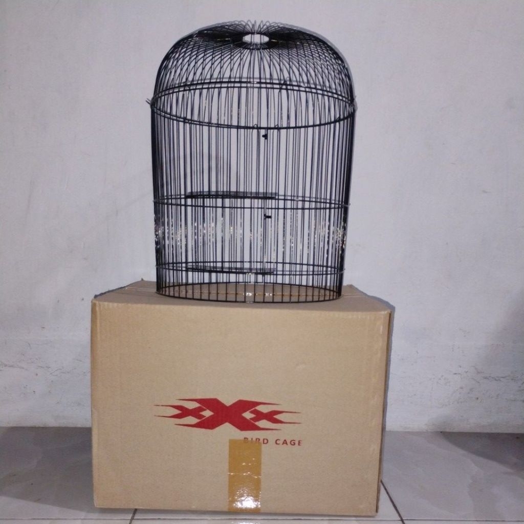 ram besi Lovebird Minion besi tebal