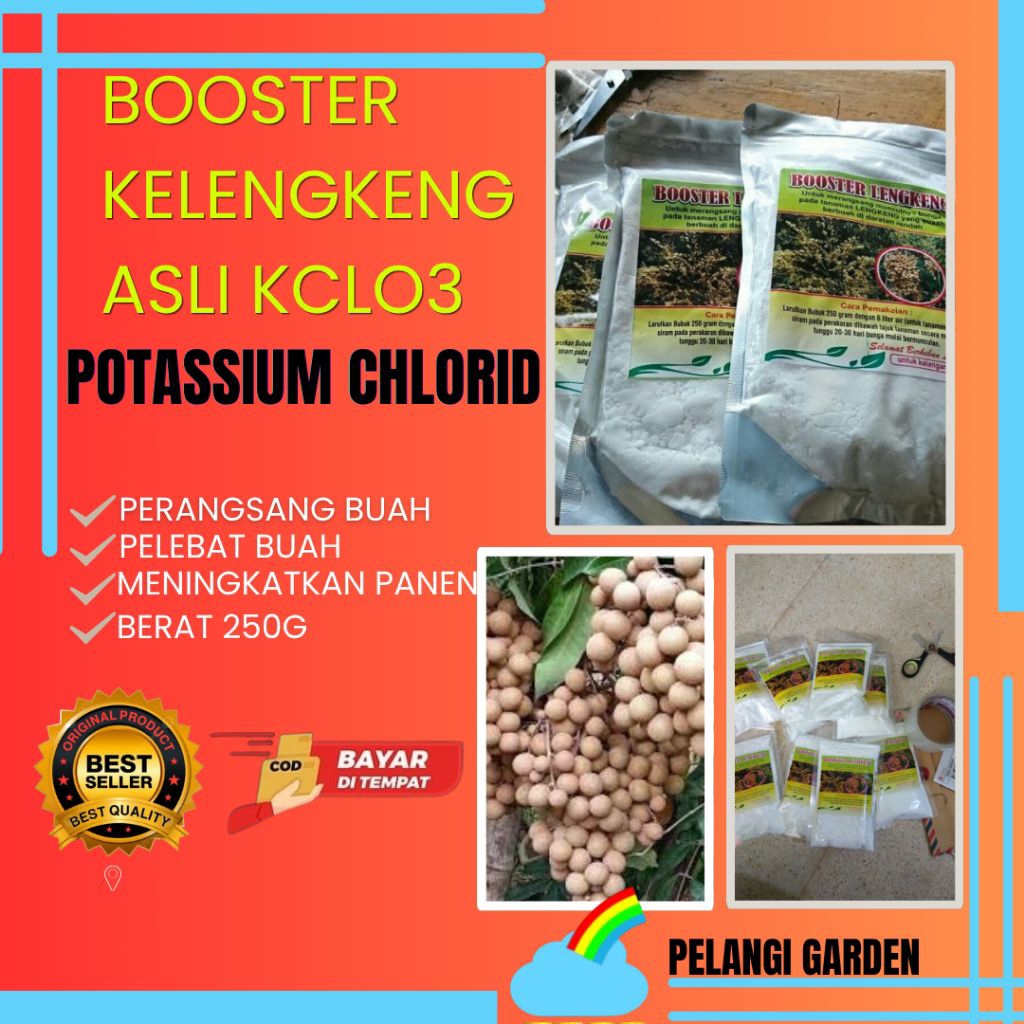 CEPAT BERBUAH  Booster Kelengkeng Buat Kelengkeng, Booster Kelengkeng Cair