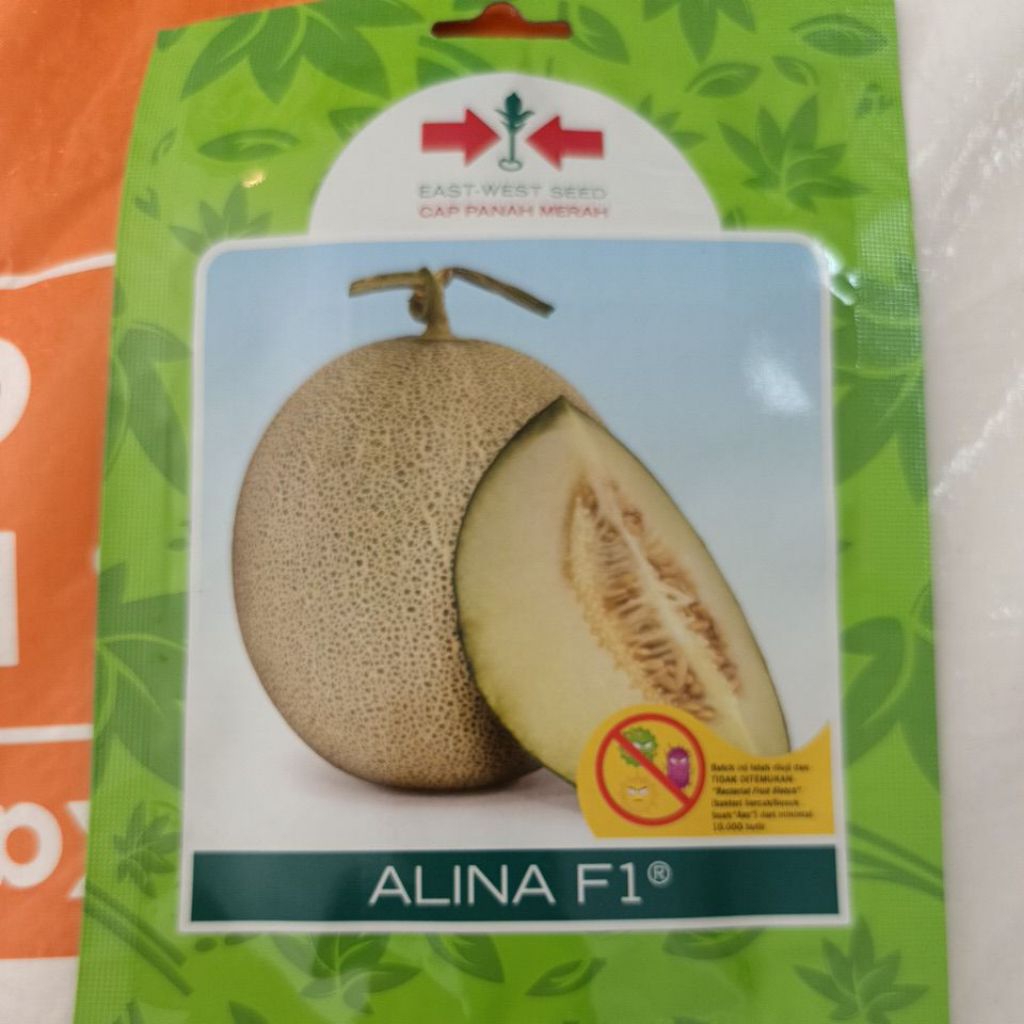 Benih/Bibit Melon ALINA F1 40 butir