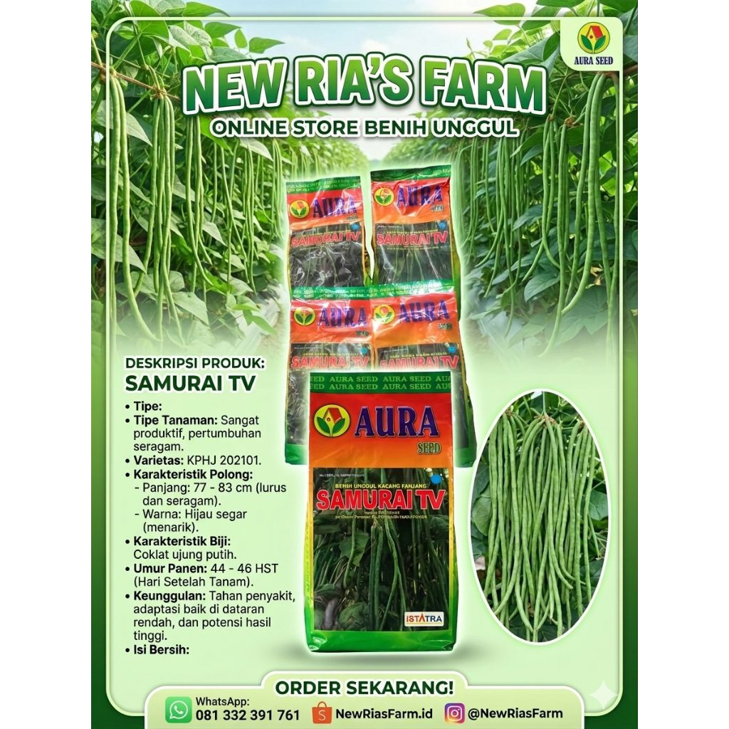 BENIH KACANG PANJANG SAMURAI TV BY AURA SEED
