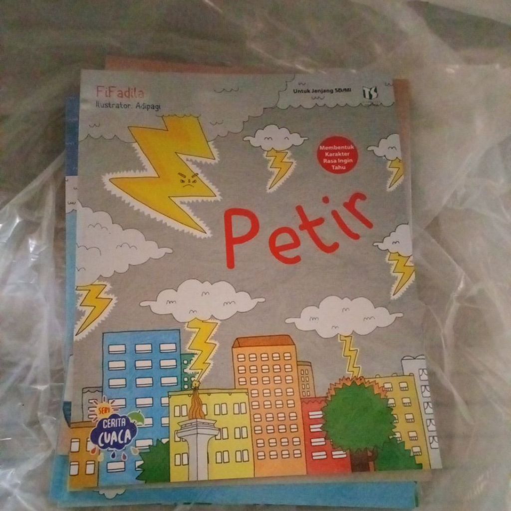 buku bacaan anak SERI CUACA PETIR