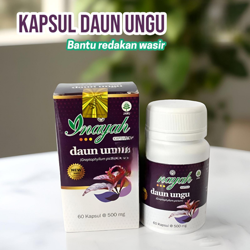 Kapsul Daun Ungu Obat Wasir Ambeien