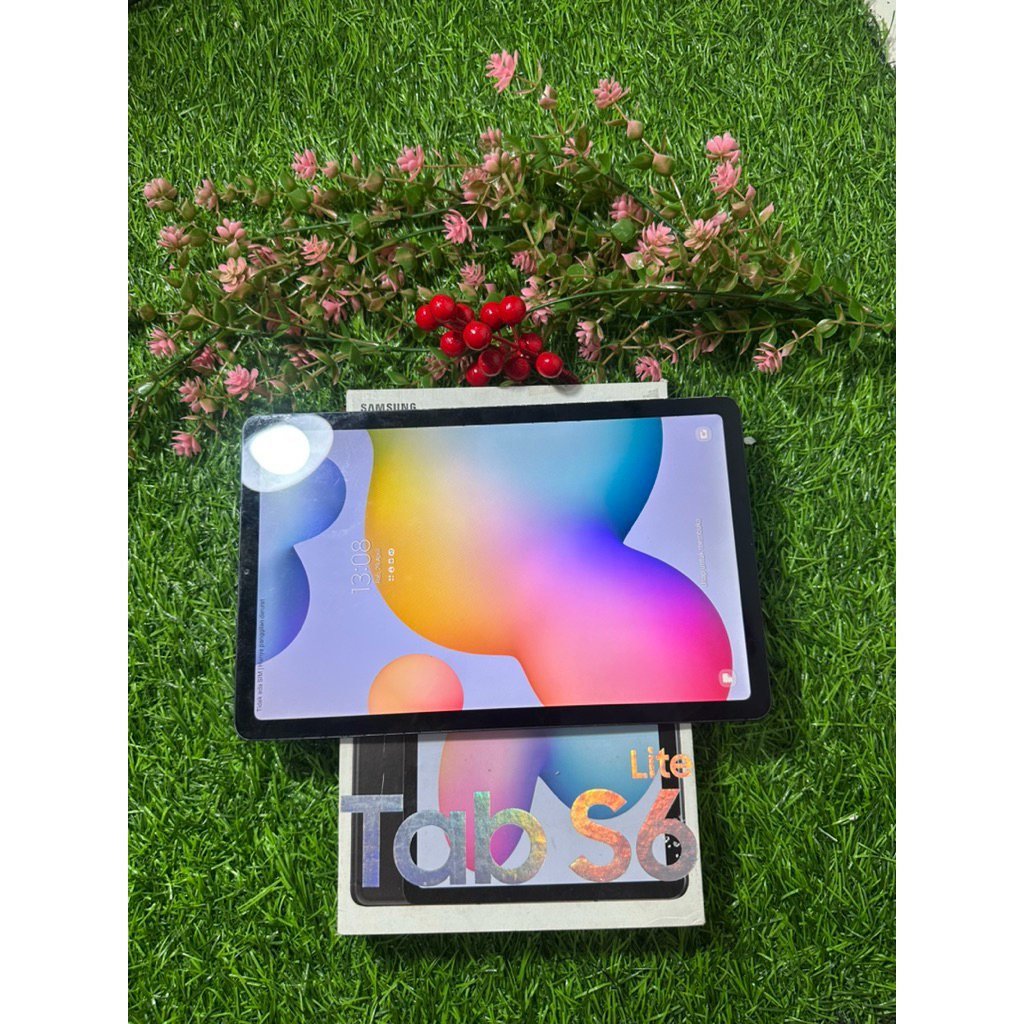 Samsung Tab S6 Lite (S pen)