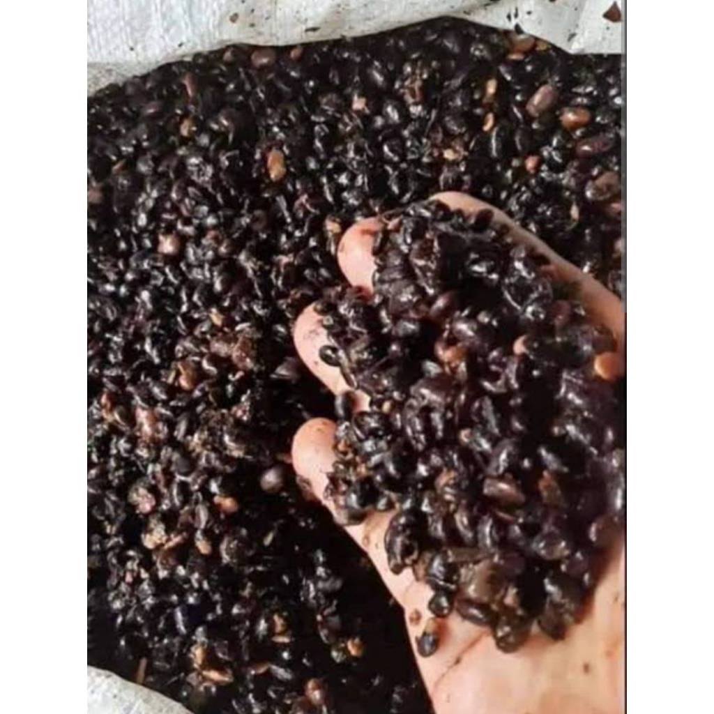 Ampas kecap kedelai hitam 1kg