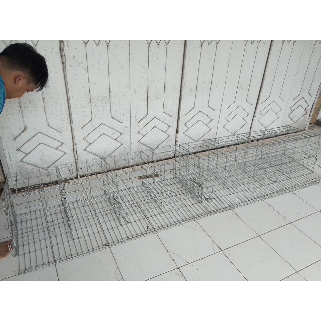 PINTU 10 ISI 10 EKOR. KANDANG AYAM PETELUR
