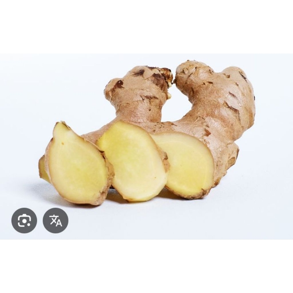 kunyit.putih.1.kg