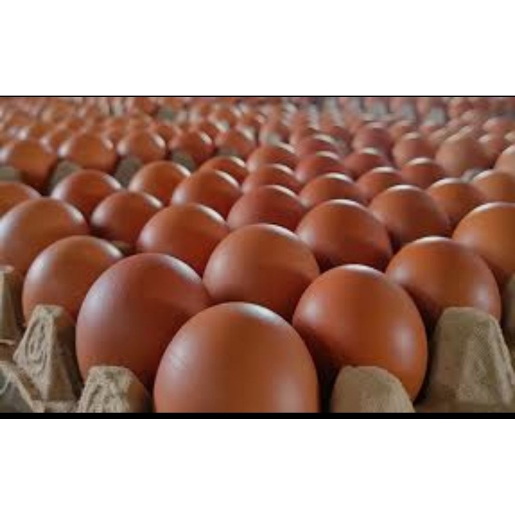 Telur Ayam 1kg