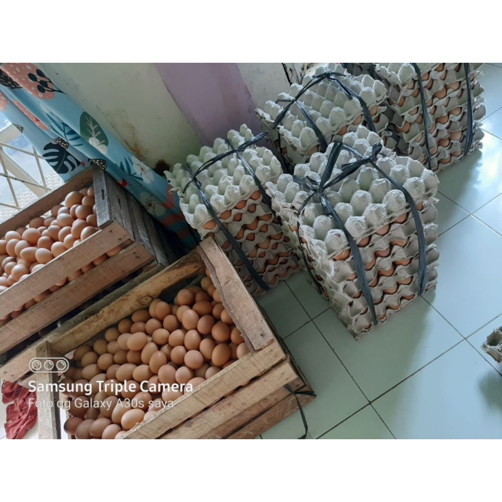 Telur ayam negri