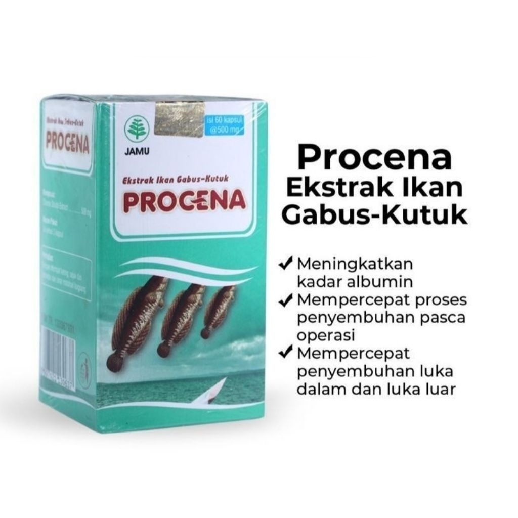 Procena Ikan Gabus/Kutuk | Ikan Gabus HIU sari minyak Ikan Gabus isi 100 Kapsul