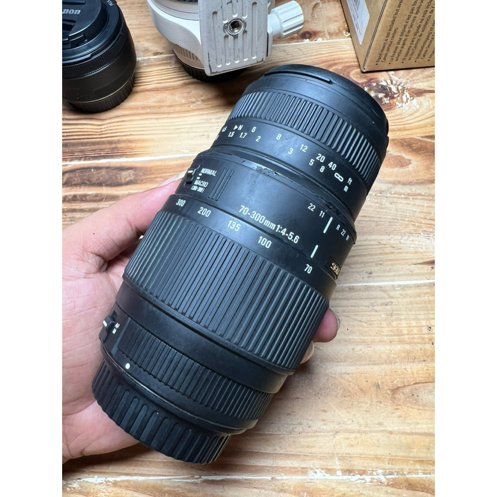 LENSA SIGMA 70-300mm