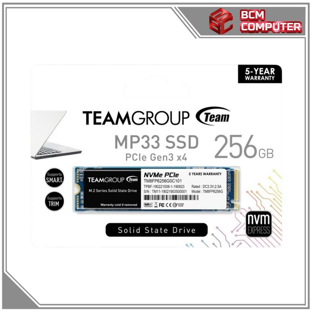 Team MP33 256GB SSD NVMe M.2 / M2 256 GB - NVMe 256GB