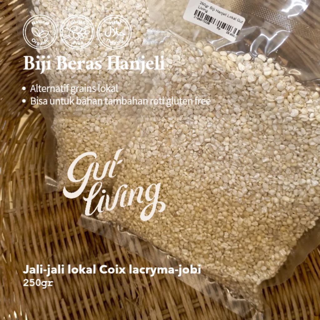 Hanjeli Jali Jali Lokal Biji Beras Tepung Natural Alami Gut Living - 250gr Biji Hanjeli