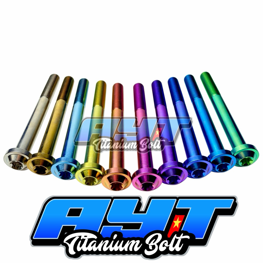 Baut Titanium M 10 x 100 Drat 14 Panjang 10cm Big Head