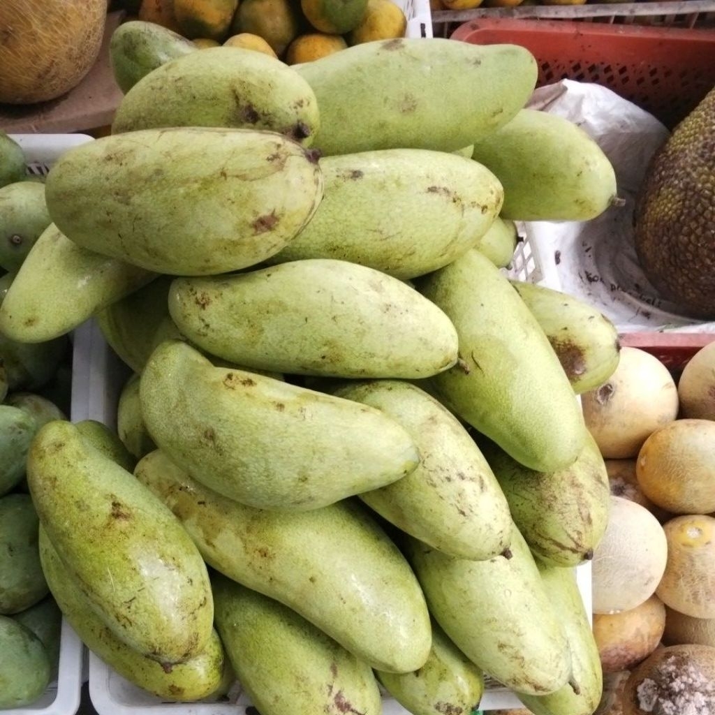Mangga golek