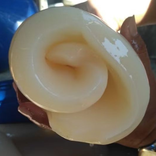 Nata de Coco Lembaran Mentah isi 5 (dikirim dalam bentuk PRESS)