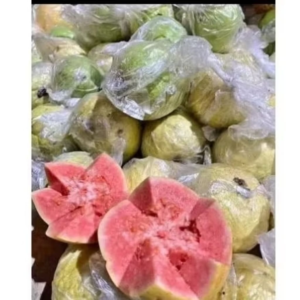jambu biji merah fresh guava 500 grm 2 - 4 tergantung besar kecilnya buah