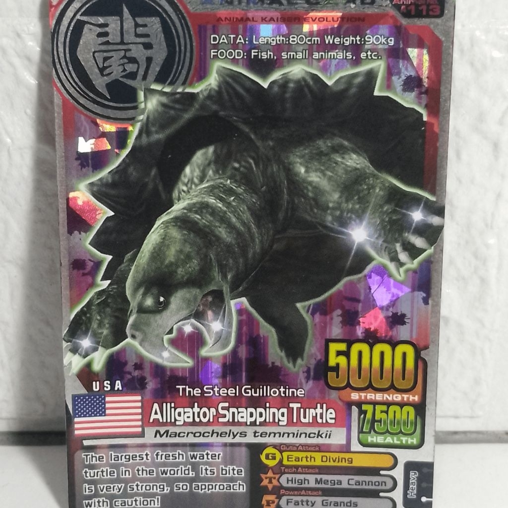 Kartu Animal Kaiser Evolution Alligator Snapping Turtle Holo Rare Original