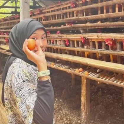 TELUR AYAM NEGERI CURAH