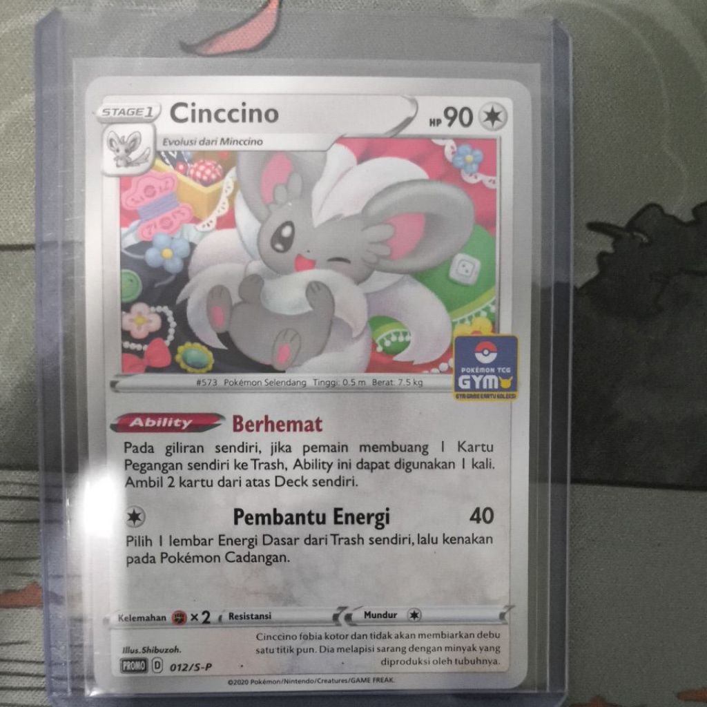 Cinccino Promo Gym