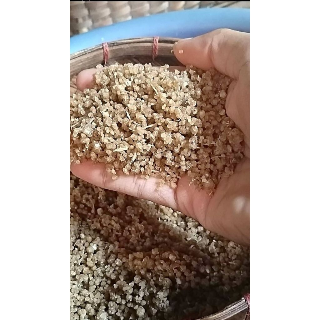 Karak nasi tiwul siap masak
