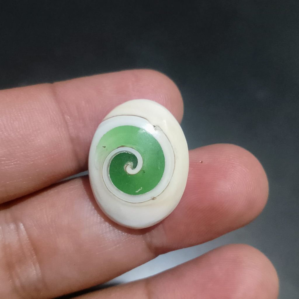 Batu Akik Natural Fosfor Keong Hijau