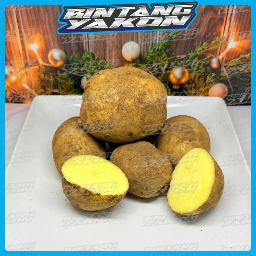 kentang super asli dieng / kentang super asli dieng / kentang kualitas super asli dieng