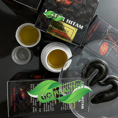 minyak maknyuss dari lintah hitam