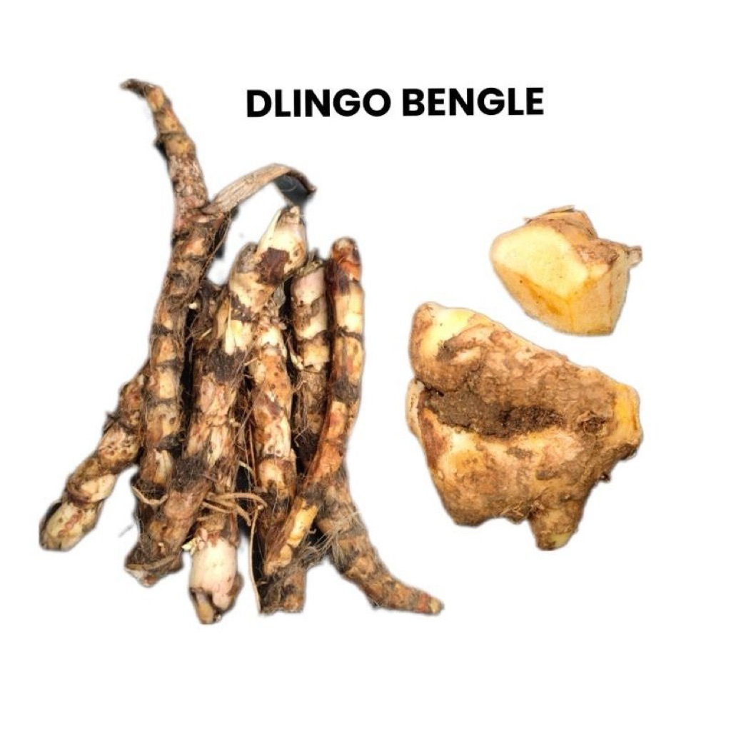 dlingo/ bengle untuk bayi atau ibu hamil