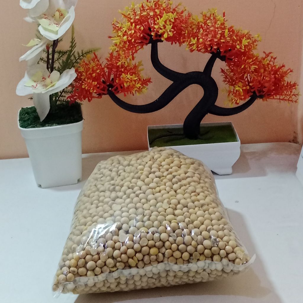 1 Kg Kacang Kedelai - Kedelai Tahu - Kedelai Tempe - Kedelai Susu