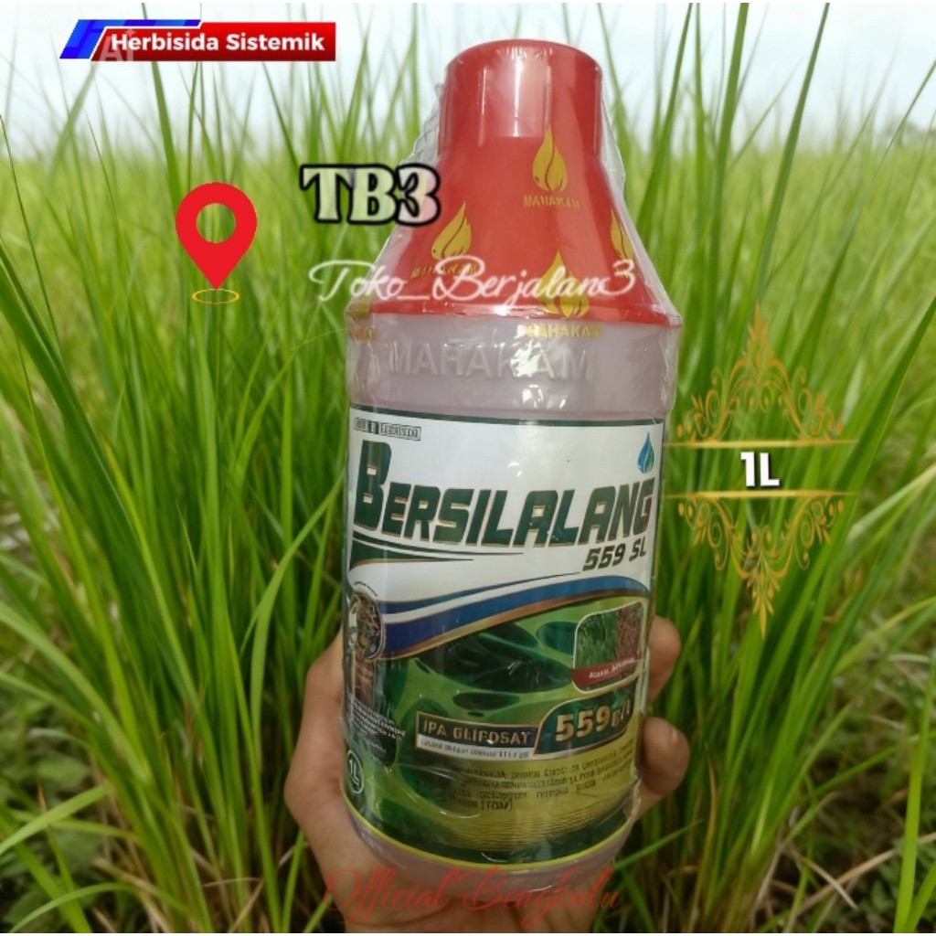 Herbisida Sistemik BERSILALANG 559sl 1L Pengendali Gulma Rumput Hingga Akar