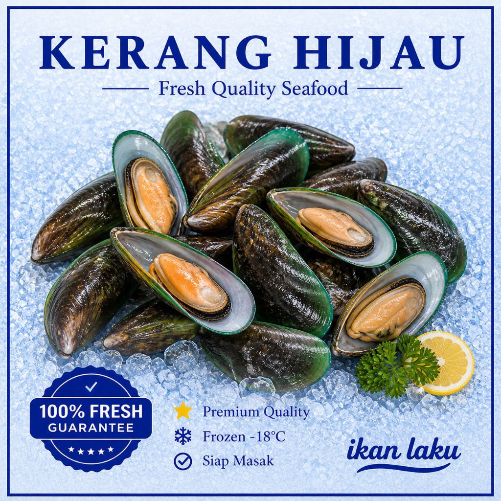 Ikan Laku – Kerang Hijau Fresh 1 Kg – Kerang Ijo Kerang Frozen Segar Laut Bersih Kotoran Premium Sea