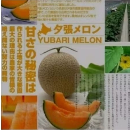 BUAH MELON YUBARI KING JAPANESE/MELON JEPANG ORIGINAL 1 PCS