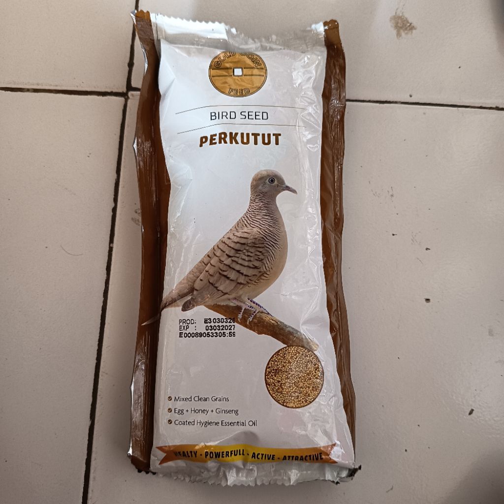 Gold coin Perkutut