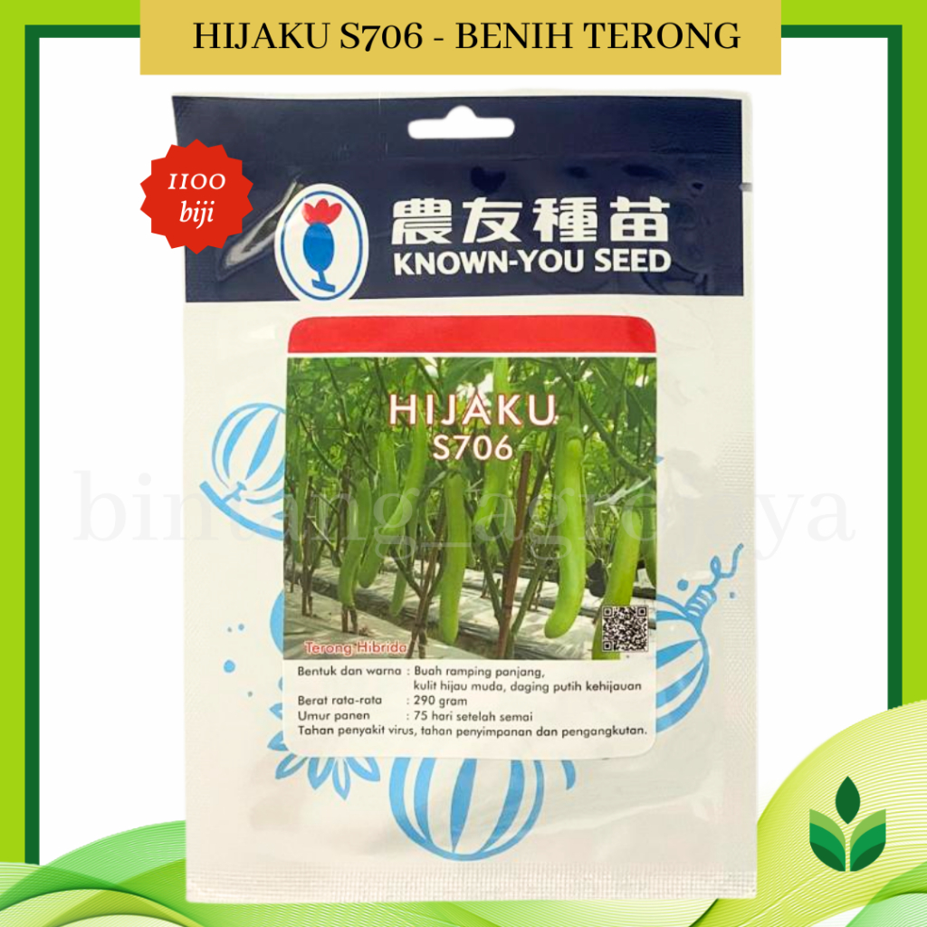 Benih Bibit Terong Hijaku S706 1100 Biji - Known You Seed