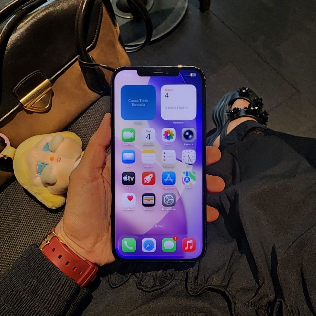 iPhone 12 Pro Max 256 Resmi HP Second Murah