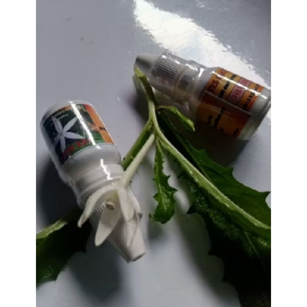 Tetes Mata Herbal Bunga Kitolod ( tetes mata untuk katarak dll )