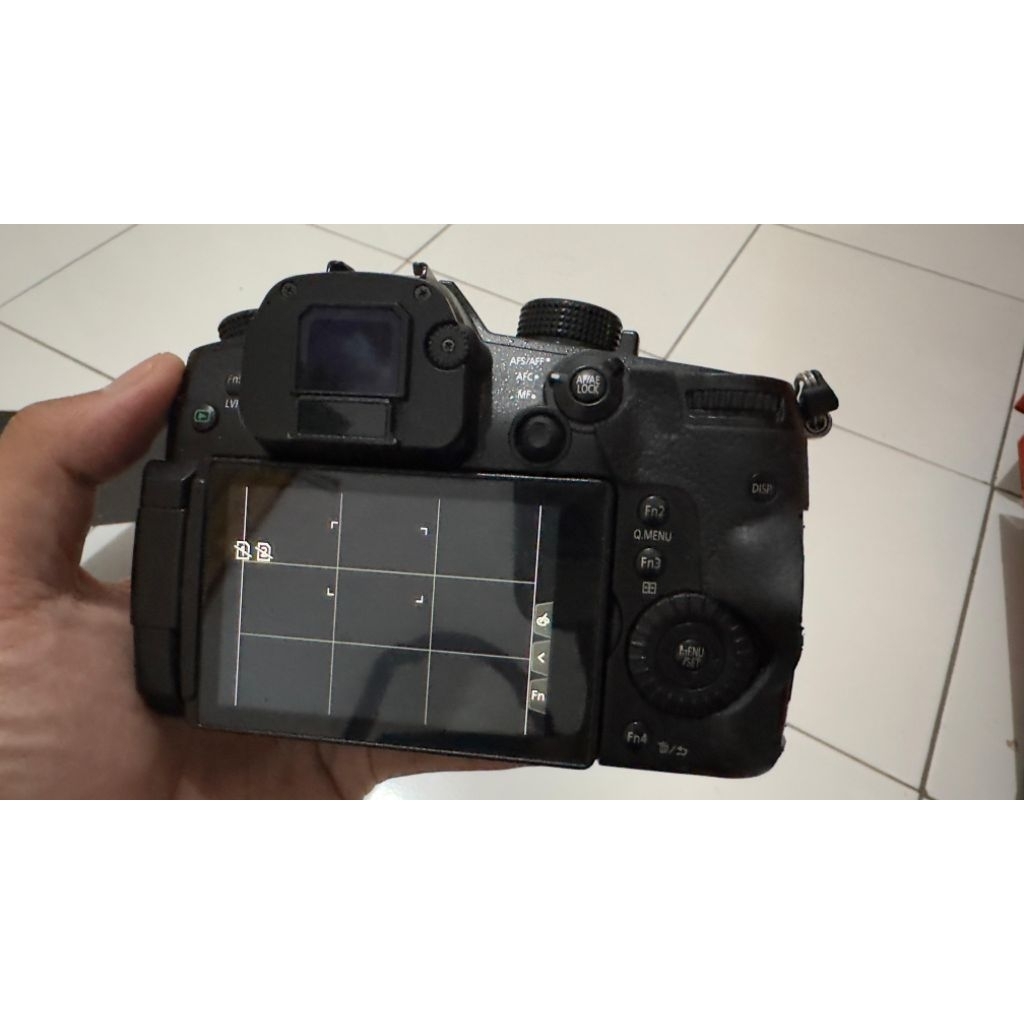 body lumix gh5