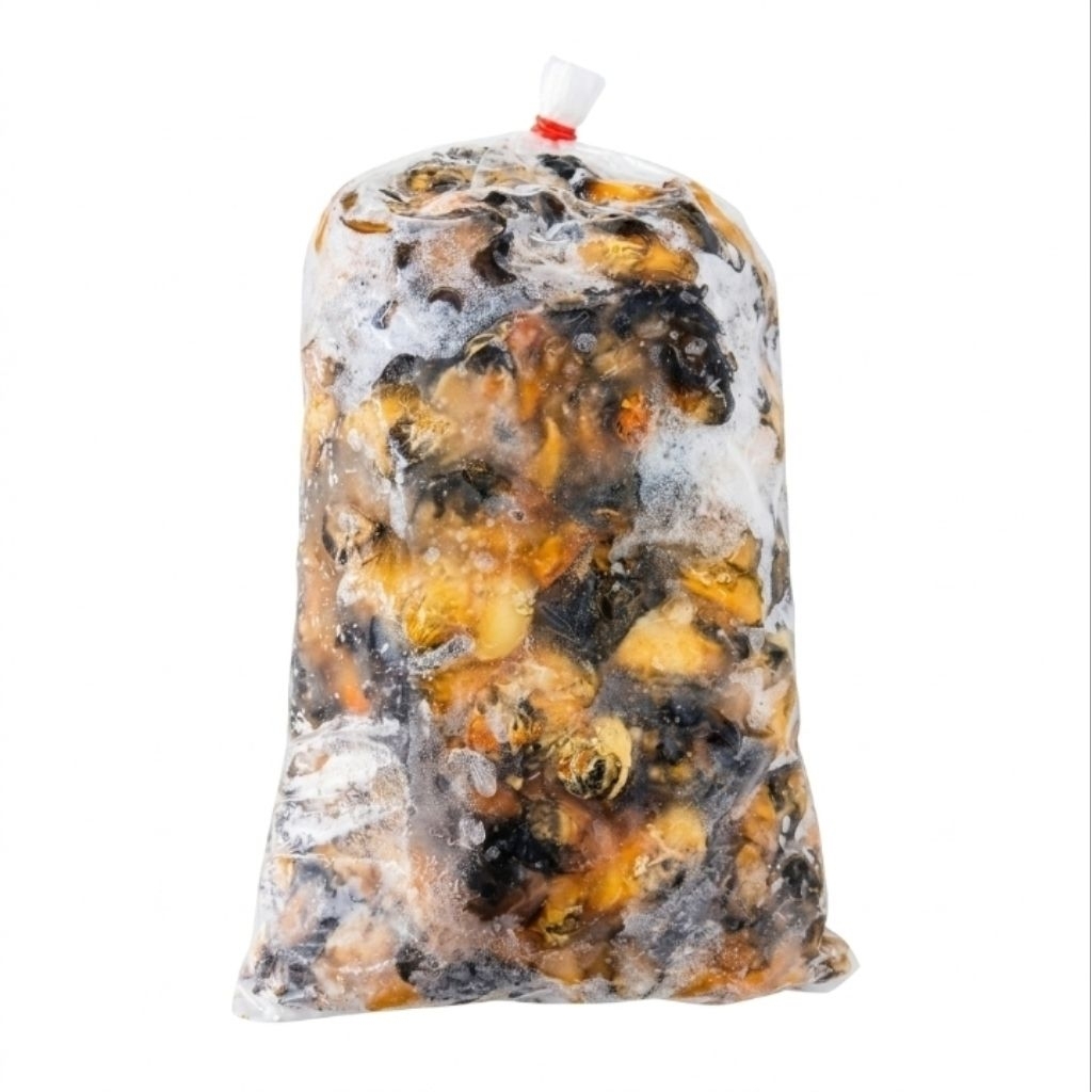 KEONG SAWAH 1 KG - WINASTORE