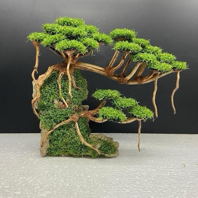 SIZE M besar PxT (23x19) | Bonsai Aquarium / Aquascape / Bonsai Artificial