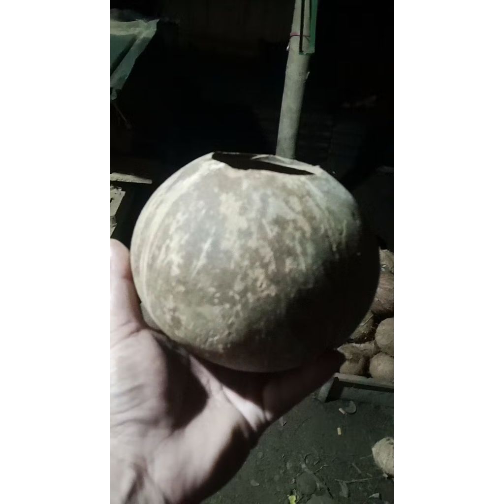 batok kelapa bahan kerajinan
