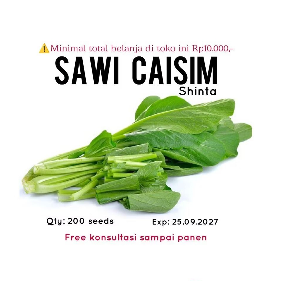 200 biji - benih sawi caisim SHINTA