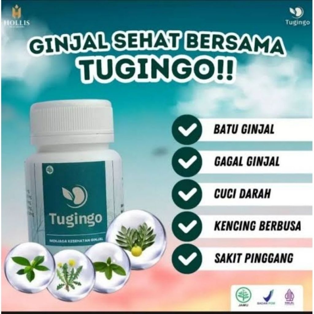 tugingo asli obat batu ginjal gagal ginjal cuci darah