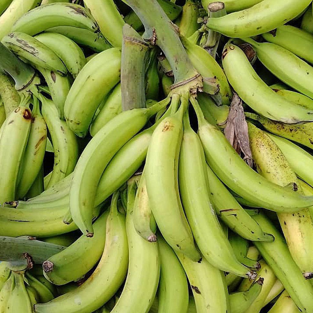 Pisang Tanduk 1 sisir